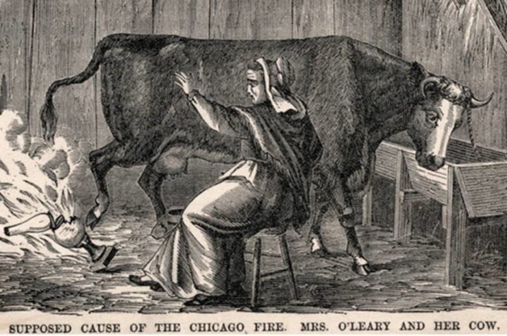 Chicago Fire Cow
